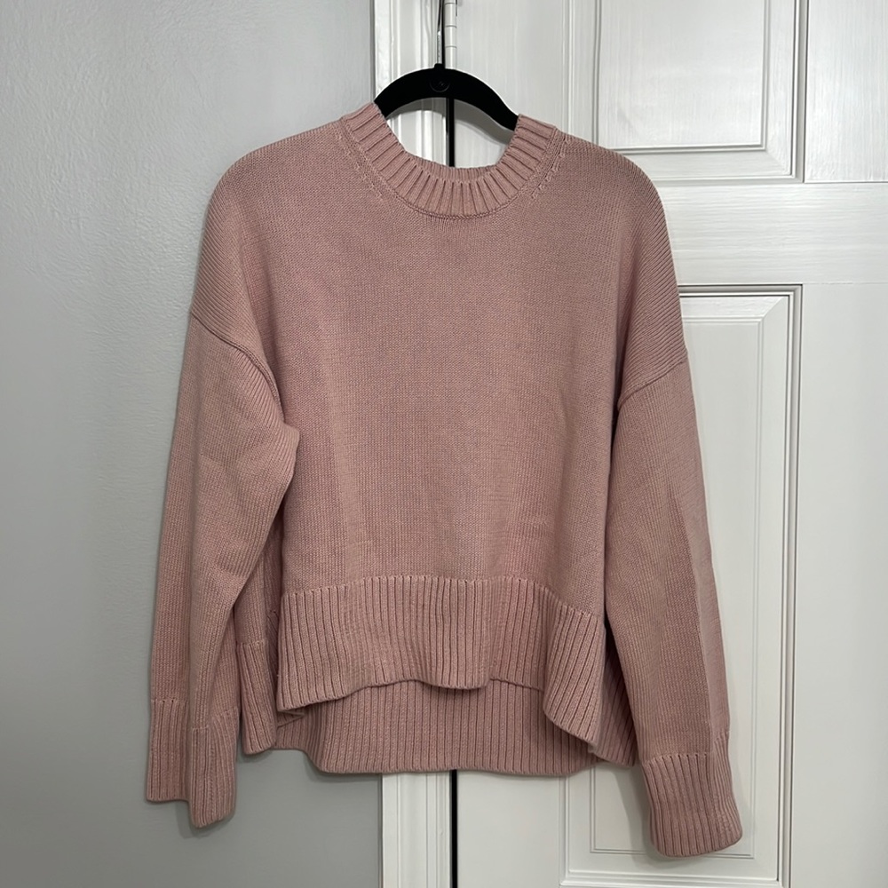Everlane 100% Cotton Crew Sweater